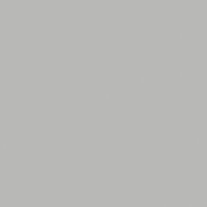 RAL9006MAT (Srebrny)