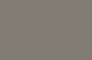 RAL 7048 MAT (szary mysi)